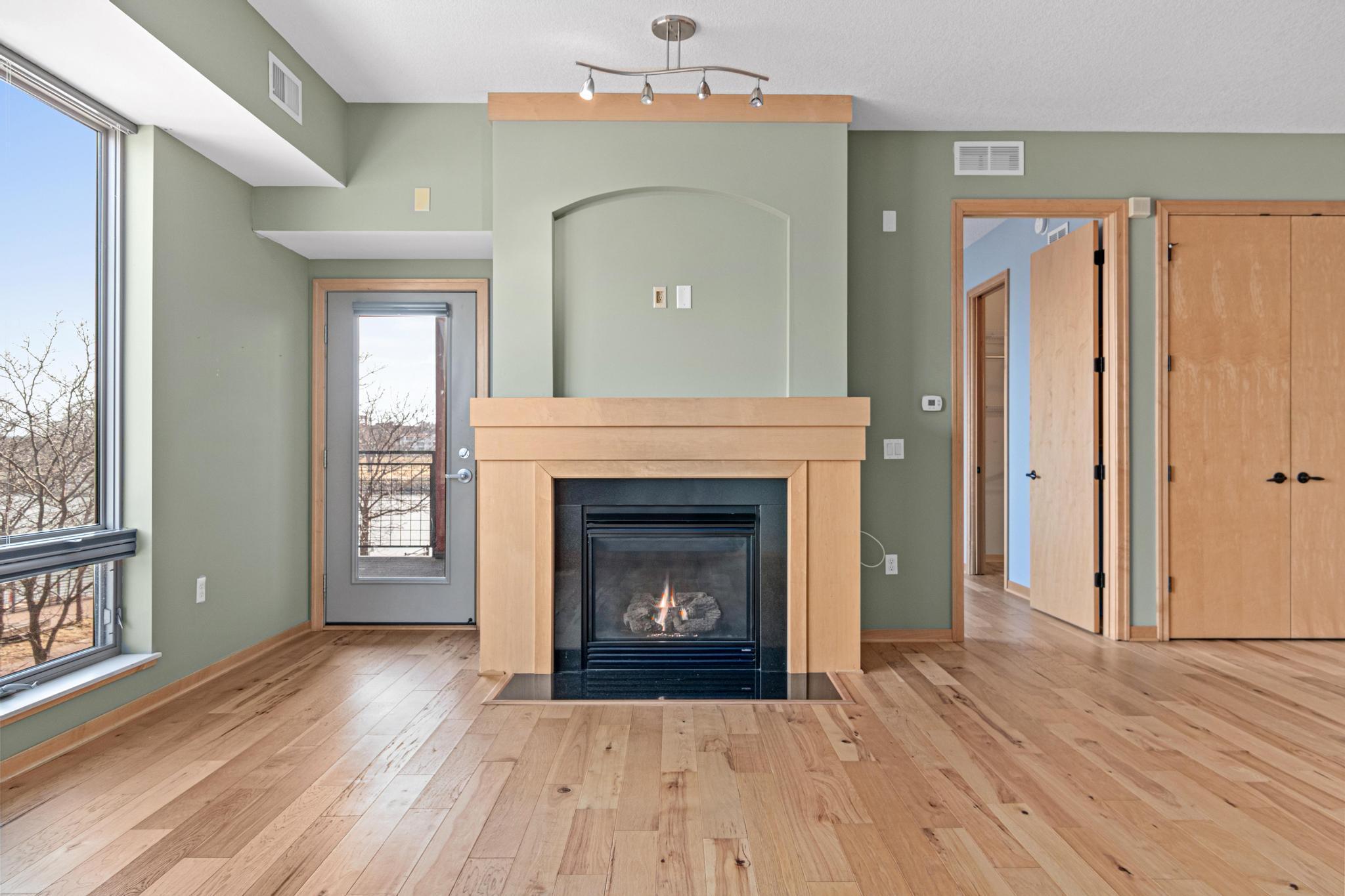 240 Spring Street, Unit 226 St. Paul, MN 55102 - Photo 3 of 41