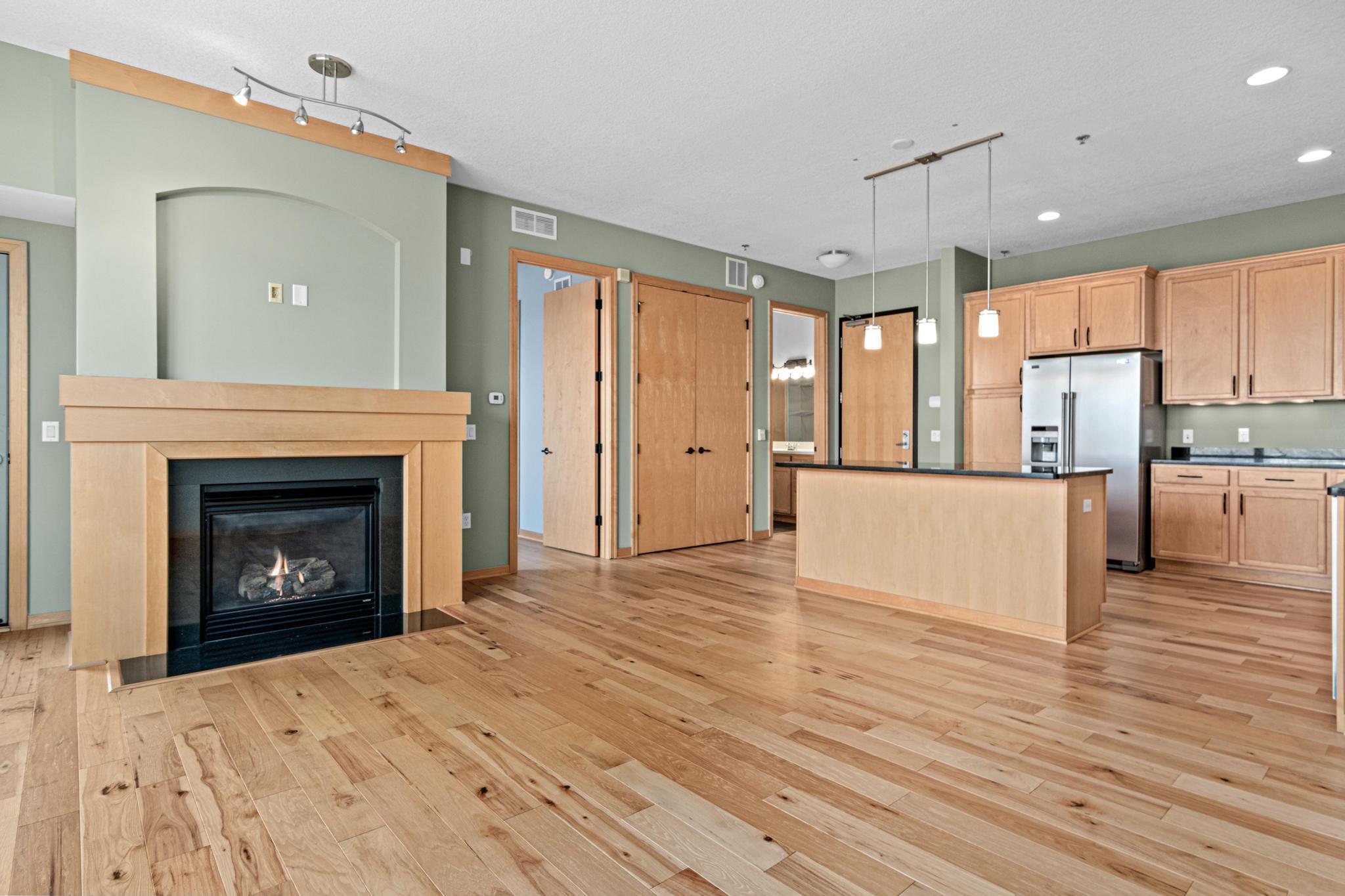 240 Spring Street, Unit 226 St. Paul, MN 55102 - Photo 4 of 41