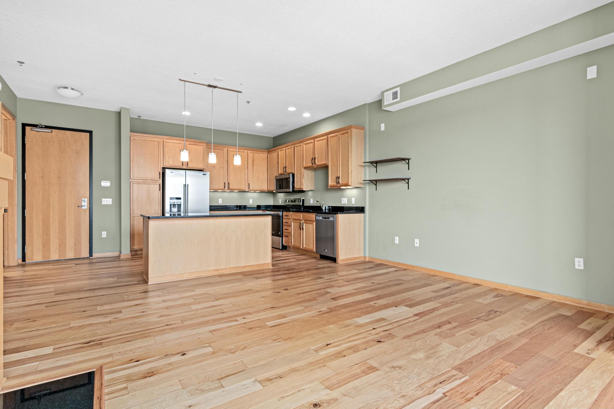 240 Spring Street, Unit 226 St. Paul, MN 55102 - Photo 5 of 41