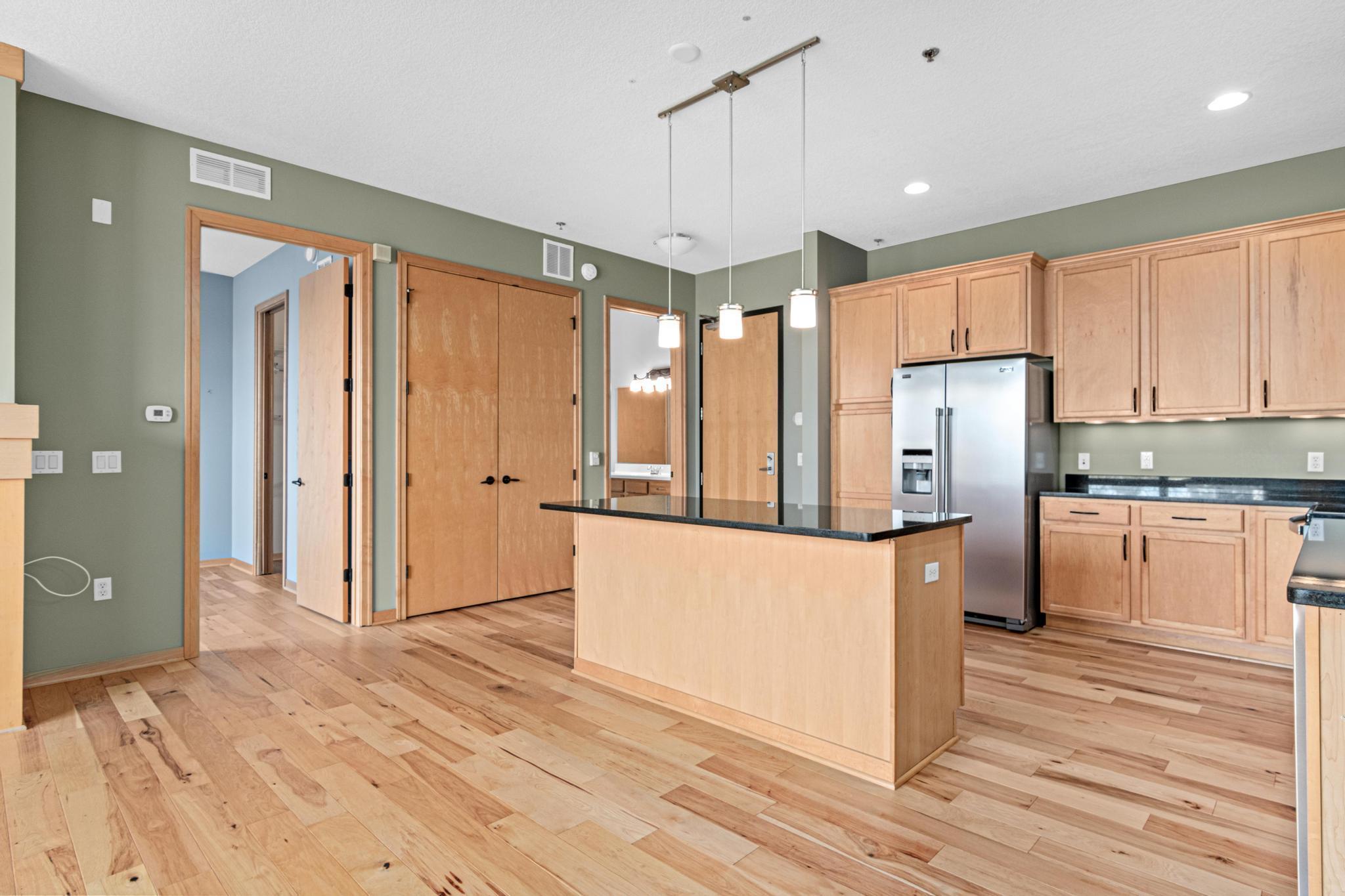 240 Spring Street, Unit 226 St. Paul, MN 55102 - Photo 6 of 41