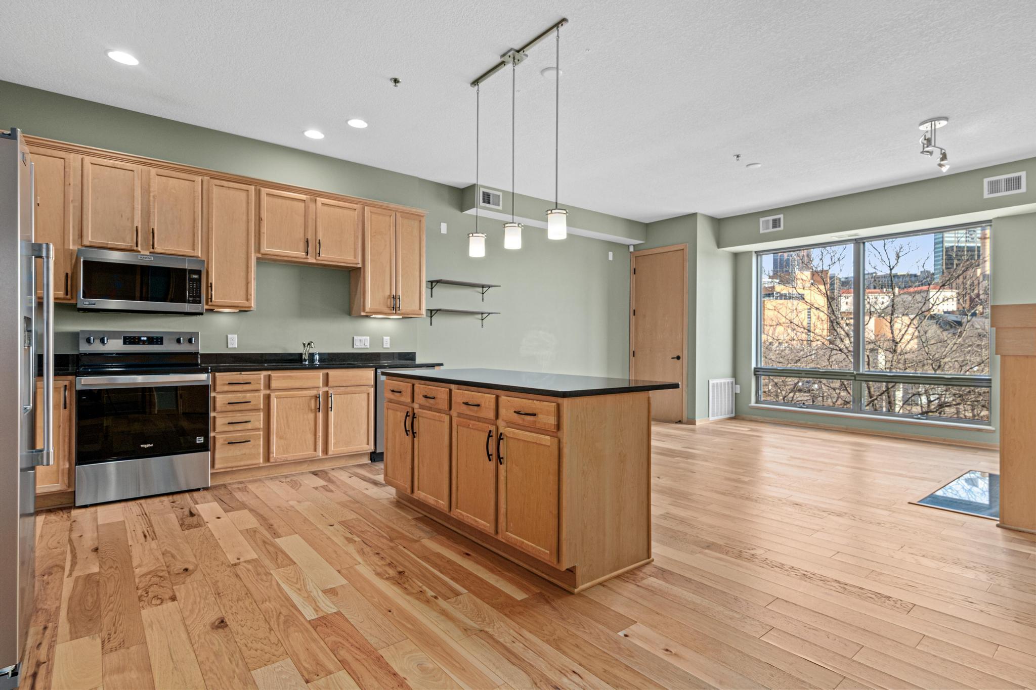 240 Spring Street, Unit 226 St. Paul, MN 55102 - Photo 10 of 41