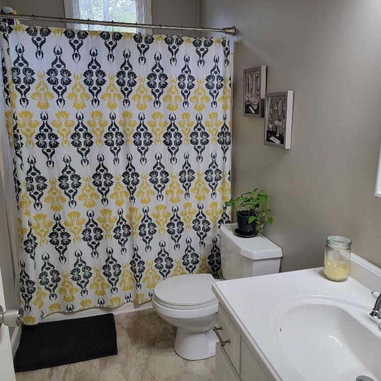 307 Miracle Road Rocky Mount, VA 24151 - Photo 21 of 47 Hall Bath