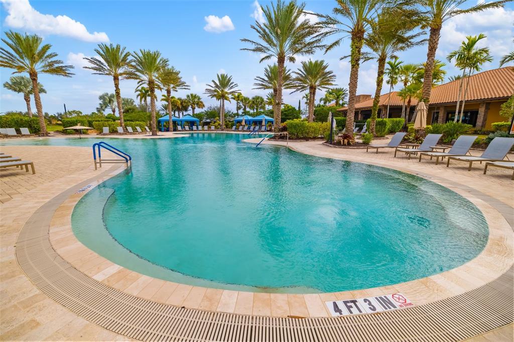 13725 Messina Loop, Unit 104 Bradenton, FL 34211 - Photo 40 of 77 a view of a swimming pool with a lawn chairs