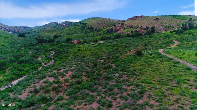 a view of a lush green hillside and a houses