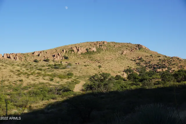 a view of a big yard