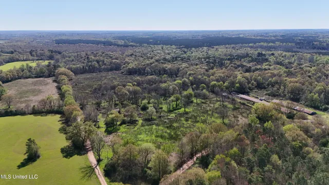 $450,000 | Thrash Road, Union, MS 39365
