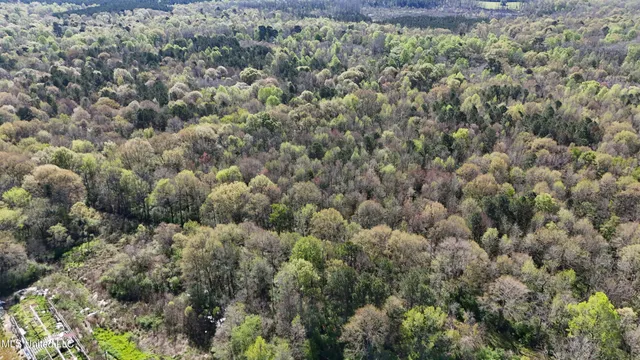$450,000 | Thrash Road, Union, MS 39365