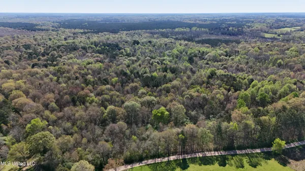 $450,000 | Thrash Road, Union, MS 39365