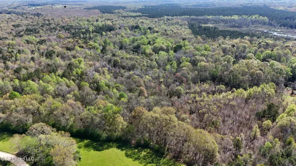 $450,000 | Thrash Road, Union, MS 39365