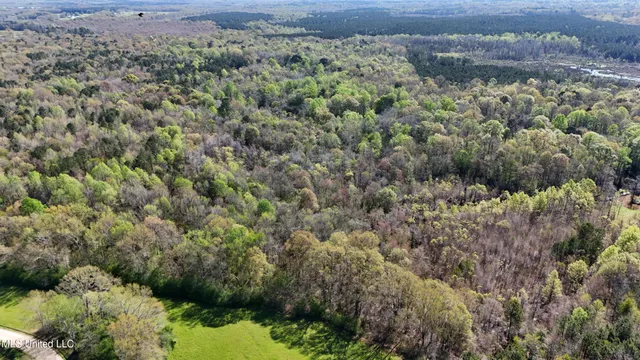 $450,000 | Thrash Road, Union, MS 39365