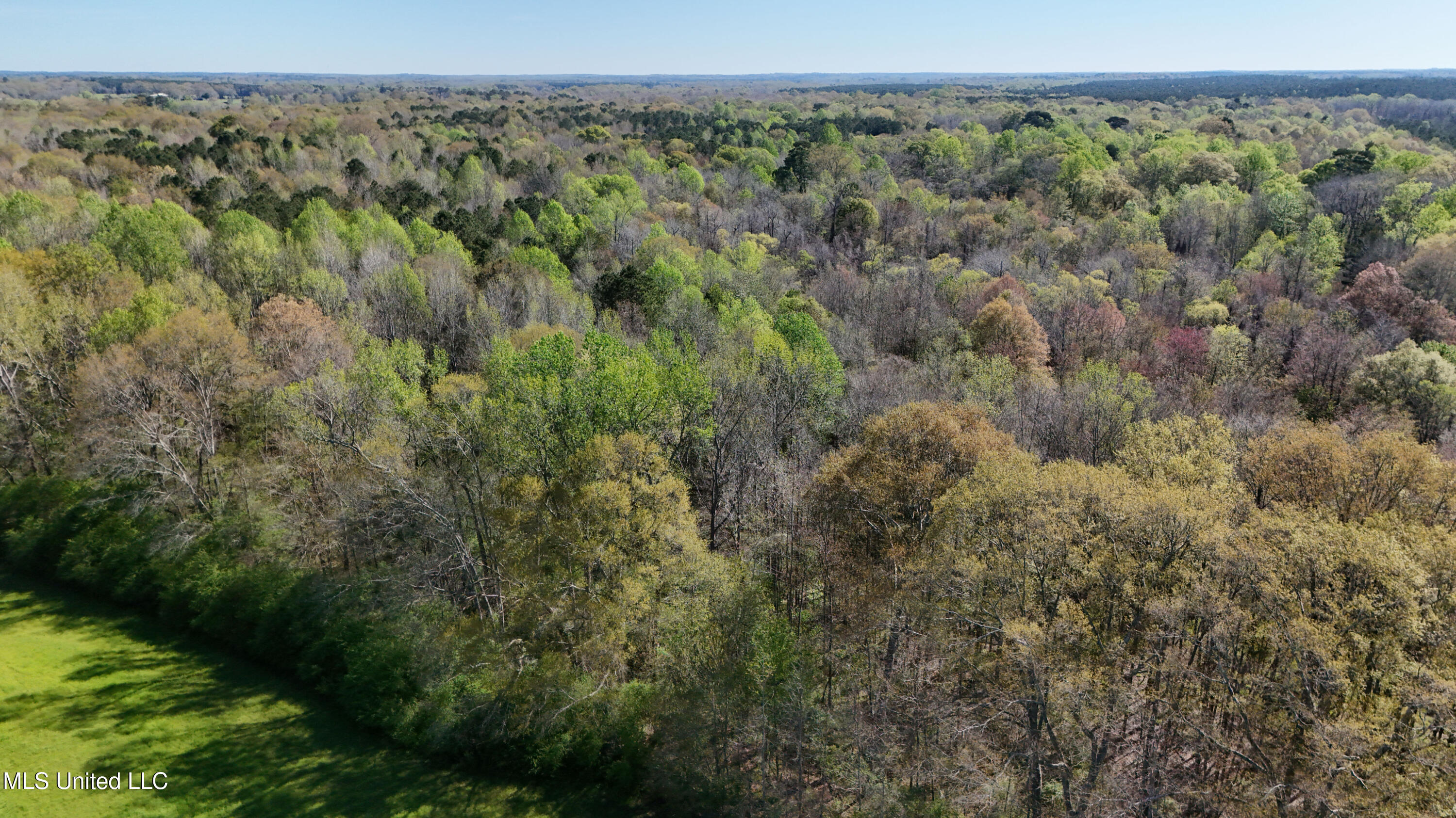 Thrash Road Union, MS 39365 - Photo 14 of 23 DJI_20240330102614_0072_D