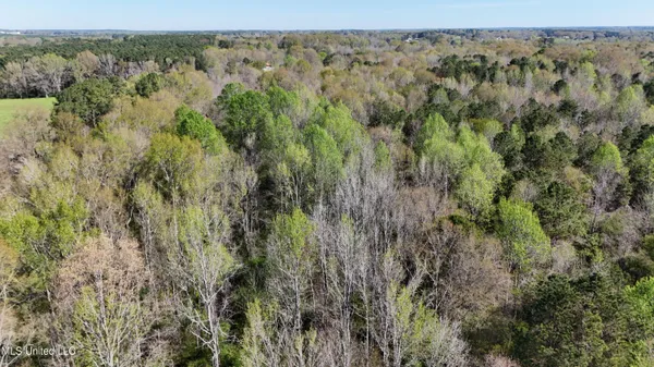 $450,000 | Thrash Road, Union, MS 39365