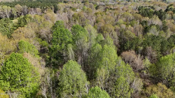 $450,000 | Thrash Road, Union, MS 39365