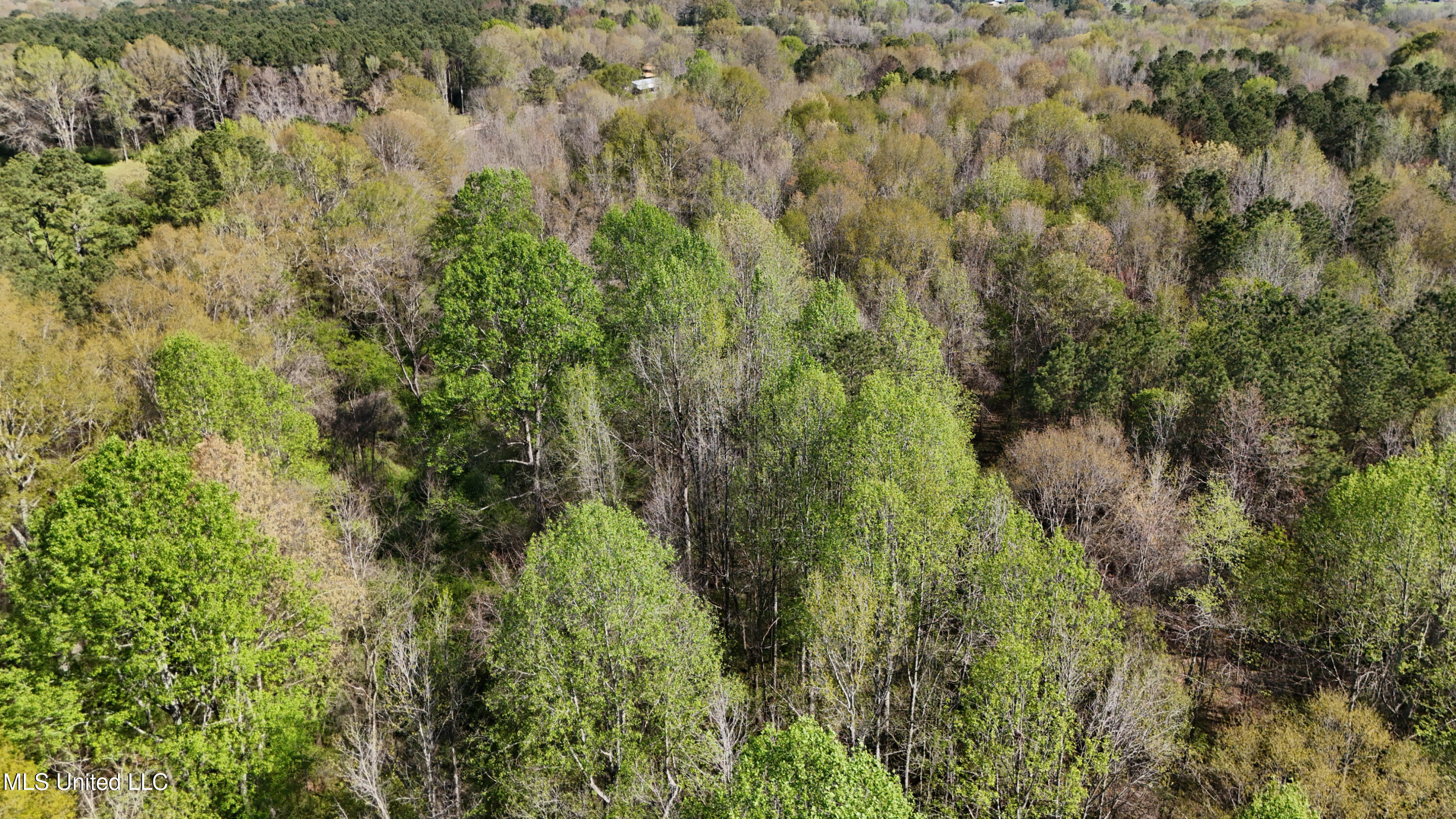 Thrash Road Union, MS 39365 - Photo 16 of 23 DJI_20240330102717_0075_D