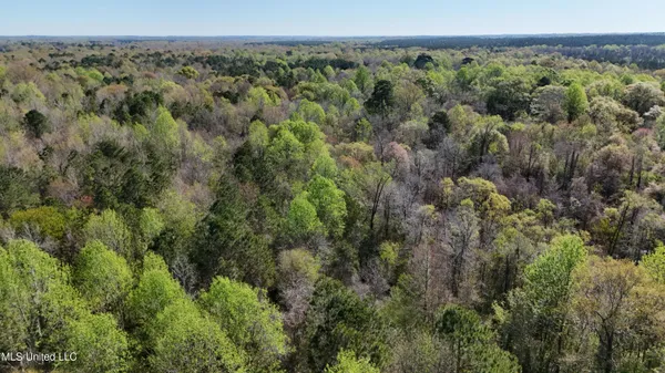 $450,000 | Thrash Road, Union, MS 39365