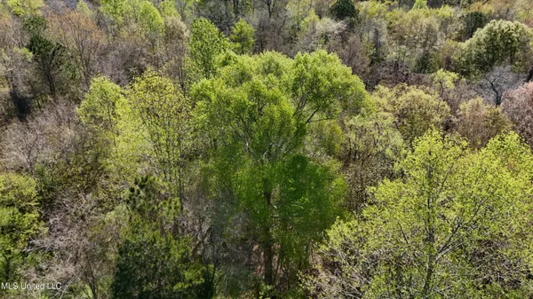 $450,000 | Thrash Road, Union, MS 39365