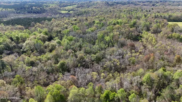 $450,000 | Thrash Road, Union, MS 39365
