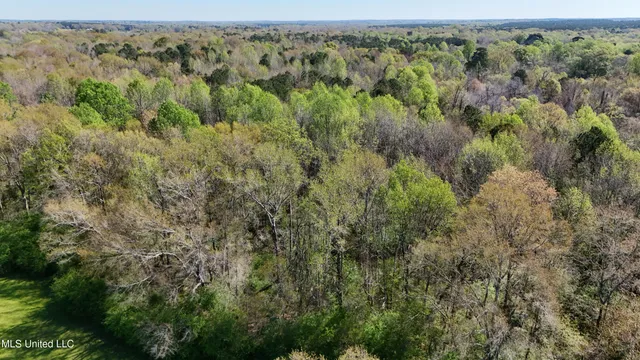 $450,000 | Thrash Road, Union, MS 39365