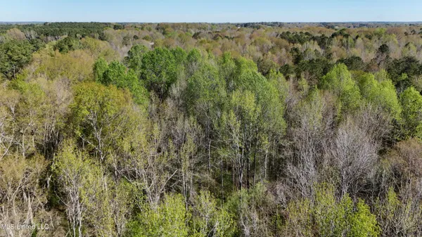 $450,000 | Thrash Road, Union, MS 39365