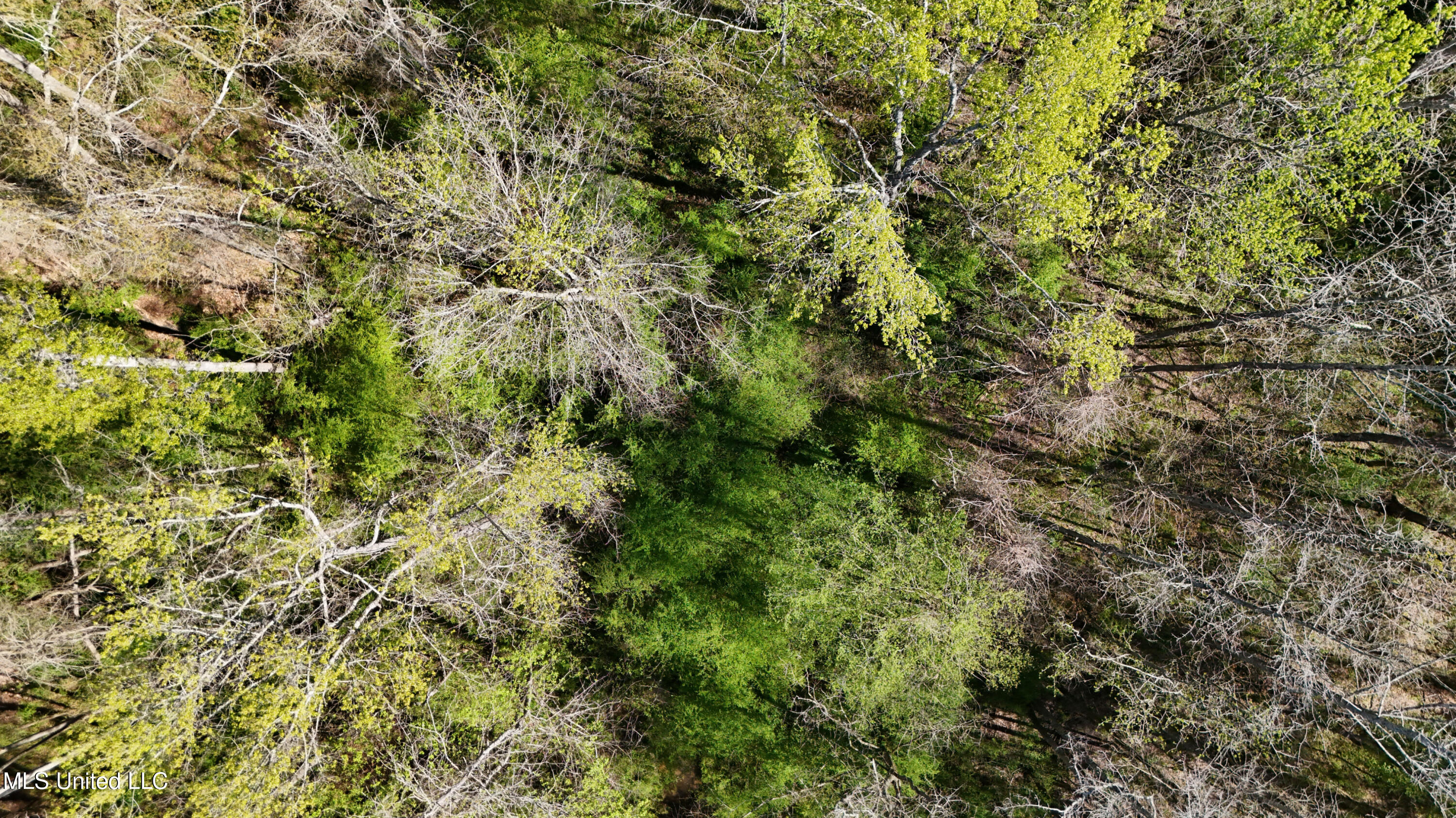 Thrash Road Union, MS 39365 - Photo 22 of 23 DJI_20240330104803_0085_D