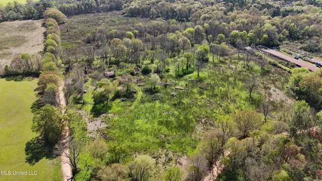 $450,000 | Thrash Road, Union, MS 39365