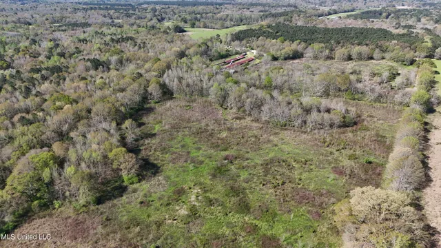 $450,000 | Thrash Road, Union, MS 39365