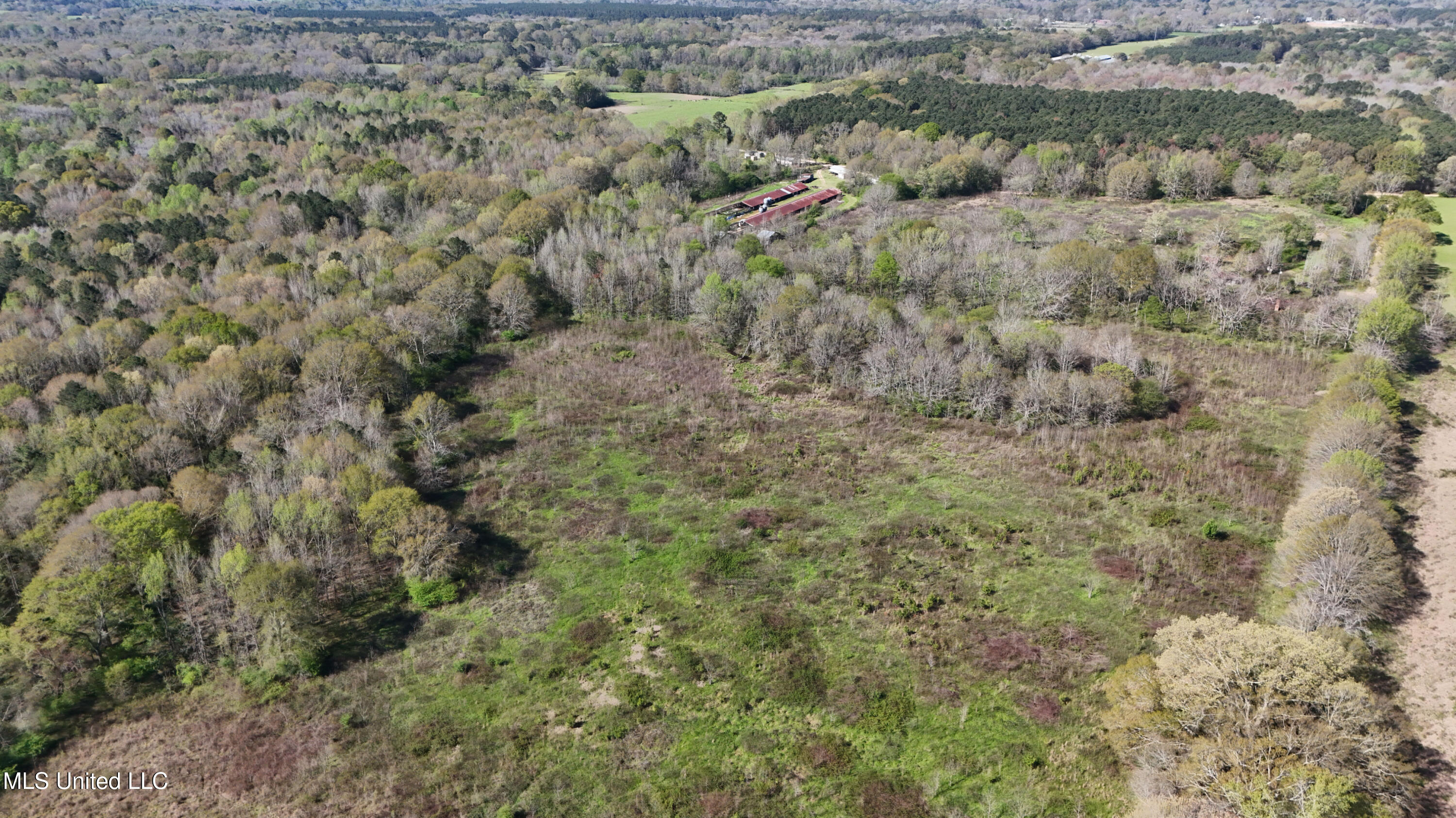 Thrash Road Union, MS 39365 - Photo 5 of 23 DJI_20240330101917_0061_D