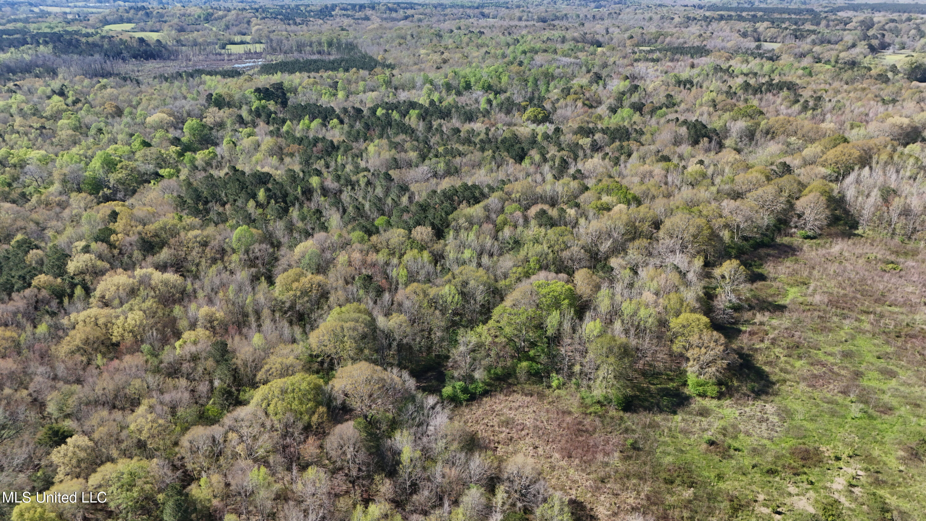 Thrash Road Union, MS 39365 - Photo 6 of 23 DJI_20240330101920_0062_D