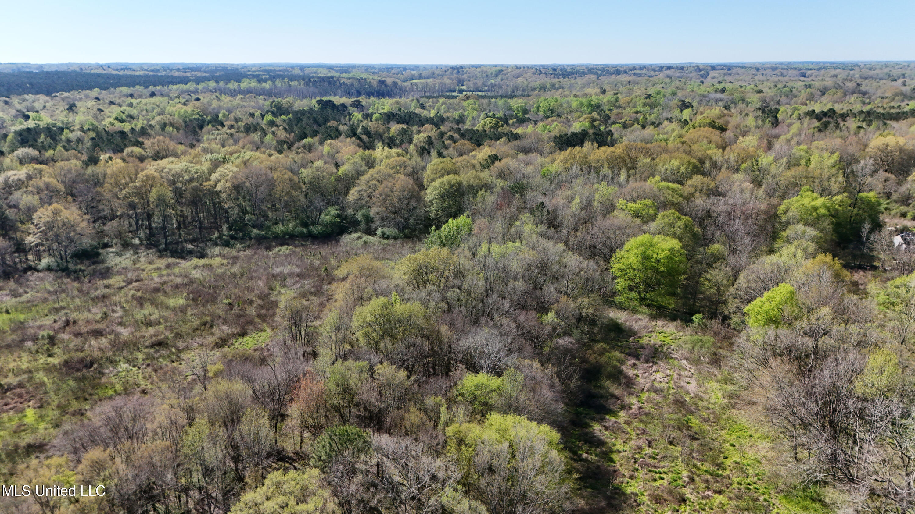 Thrash Road Union, MS 39365 - Photo 7 of 23 DJI_20240330102046_0064_D