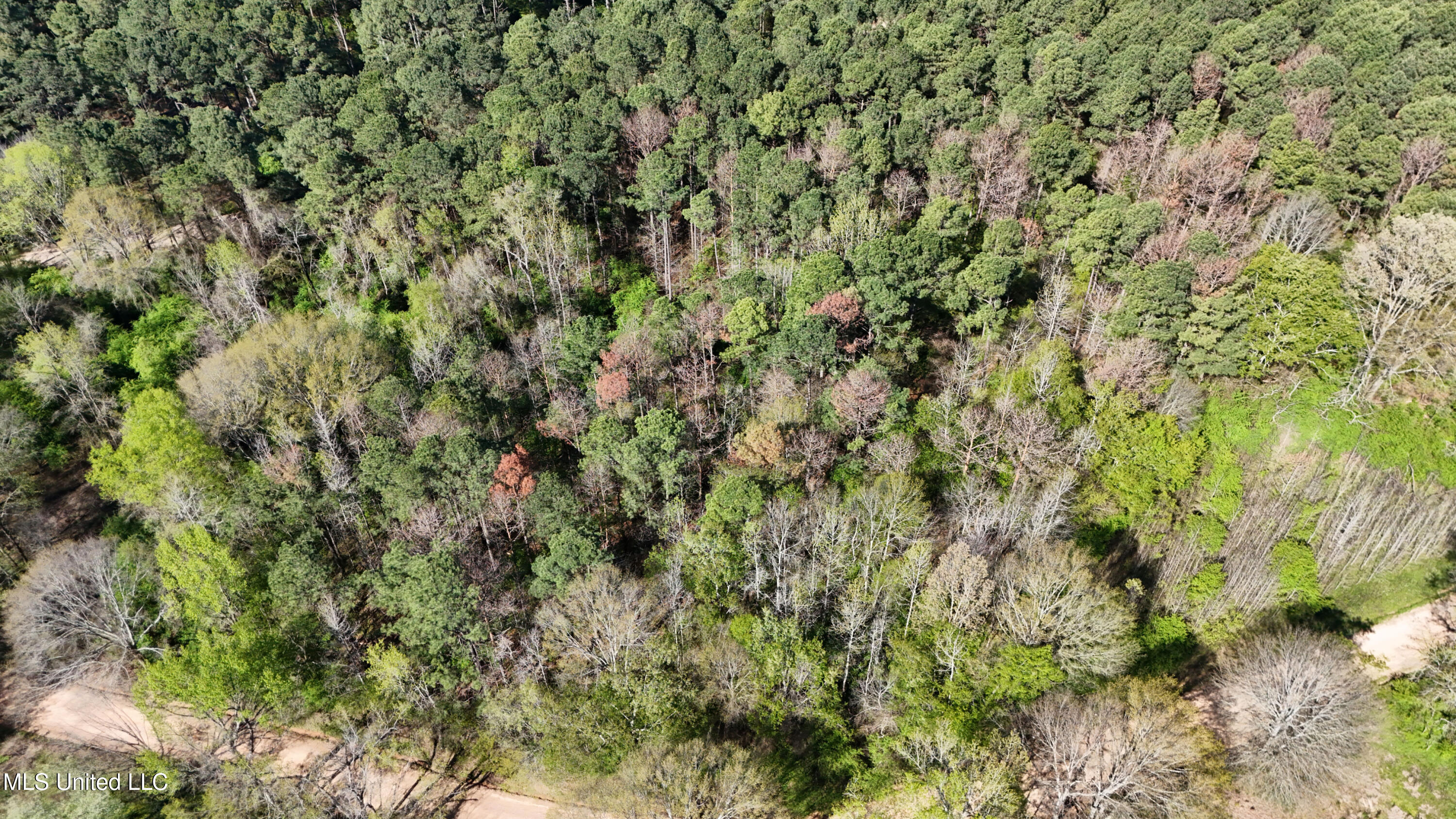 Thrash Road Union, MS 39365 - Photo 9 of 23 DJI_20240330102155_0066_D