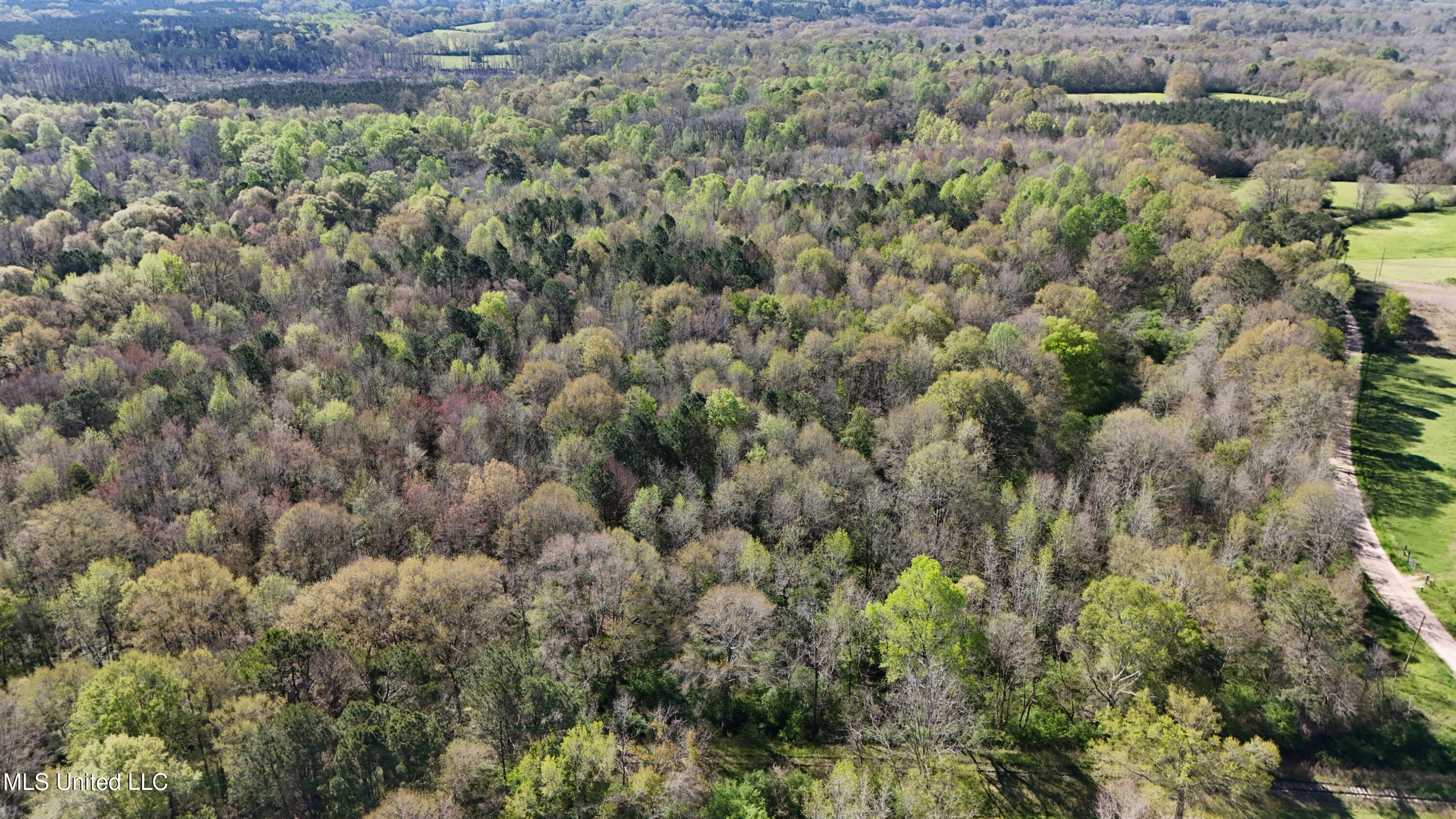 Thrash Road Union, MS 39365 - Photo 10 of 23 DJI_20240330102319_0068_D