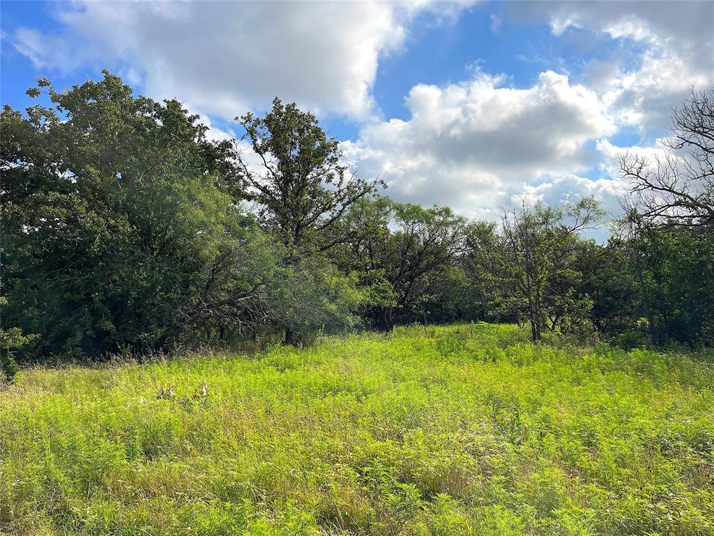 11020 Highway 281 Perrin, TX 76486 - Photo 14 of 22