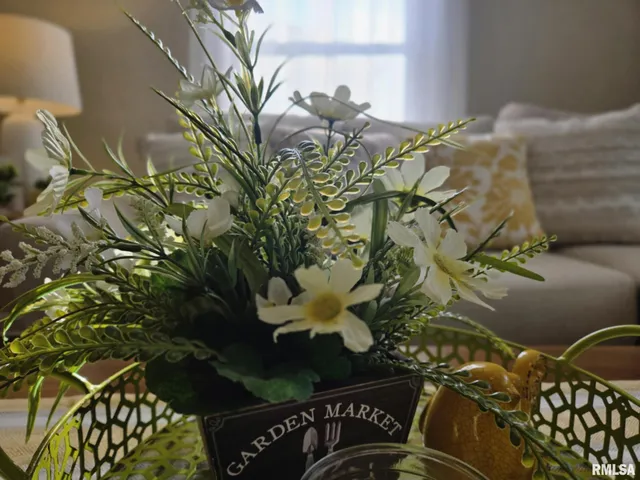 $116,900 | 2805 College Street, Mount Vernon, IL 62864