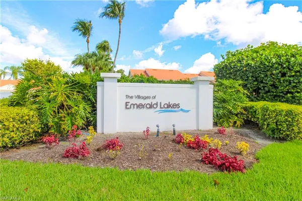 a view of a bunch of flowers