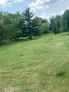 4971 Bond Road Onondaga, MI 49264 - Photo 34 of 44 IMG_9905