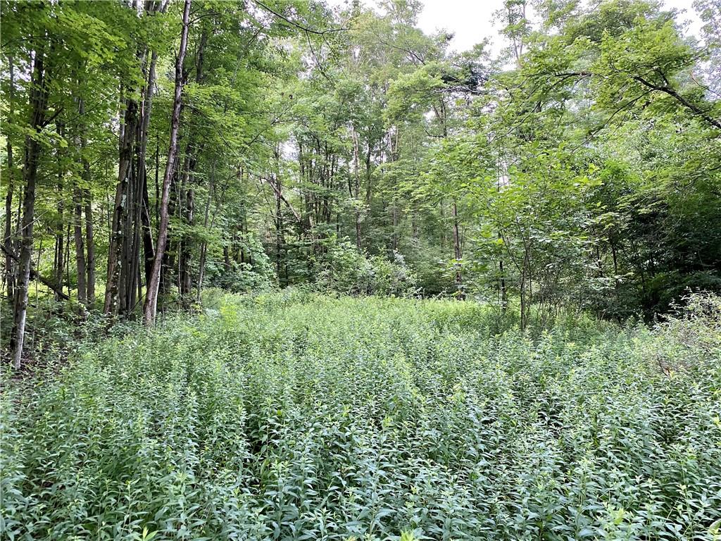 0 Lisbon Road Kennerdell, PA 16373 - Photo 22 of 25 Gallery Image 22