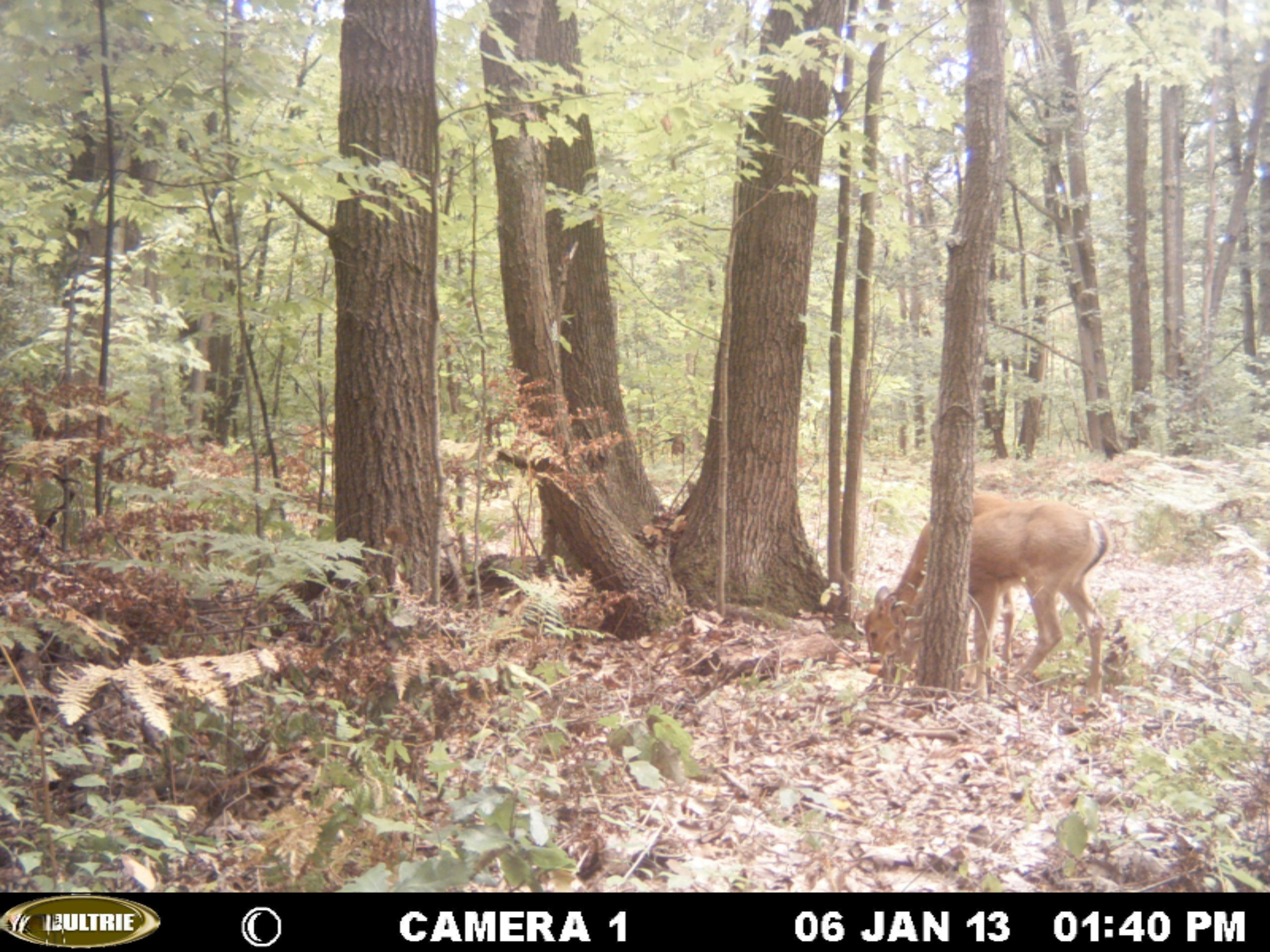 0 Bailey Road Ravenna, MI 49451 - Photo 7 of 8 MDGC0054