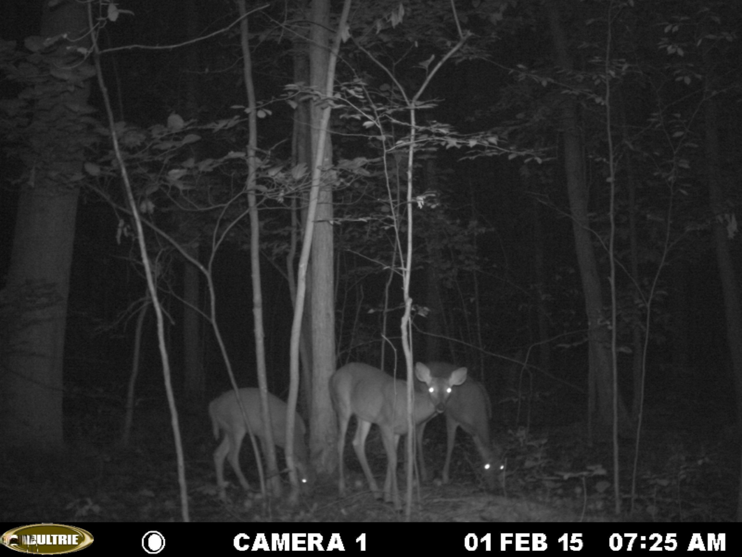 0 Bailey Road Ravenna, MI 49451 - Photo 8 of 8 MDGC0005