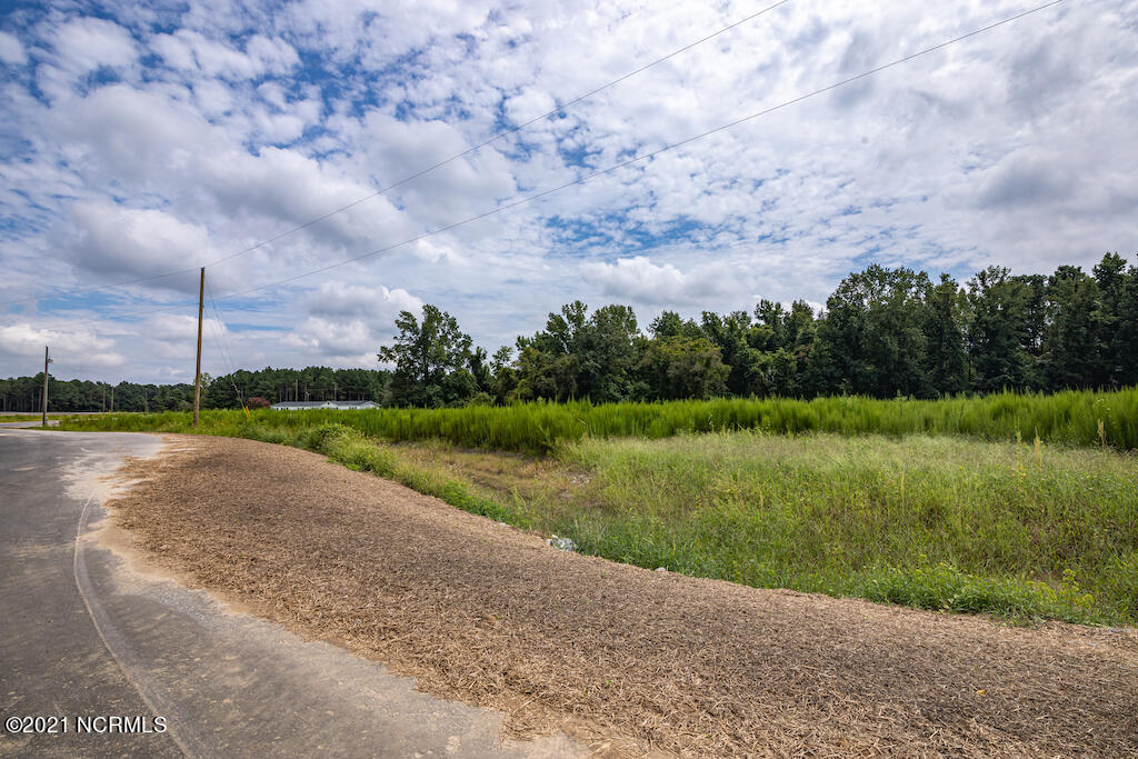 0 Cecil-Odie Road Clinton, NC 28328 - Photo 16 of 24 15