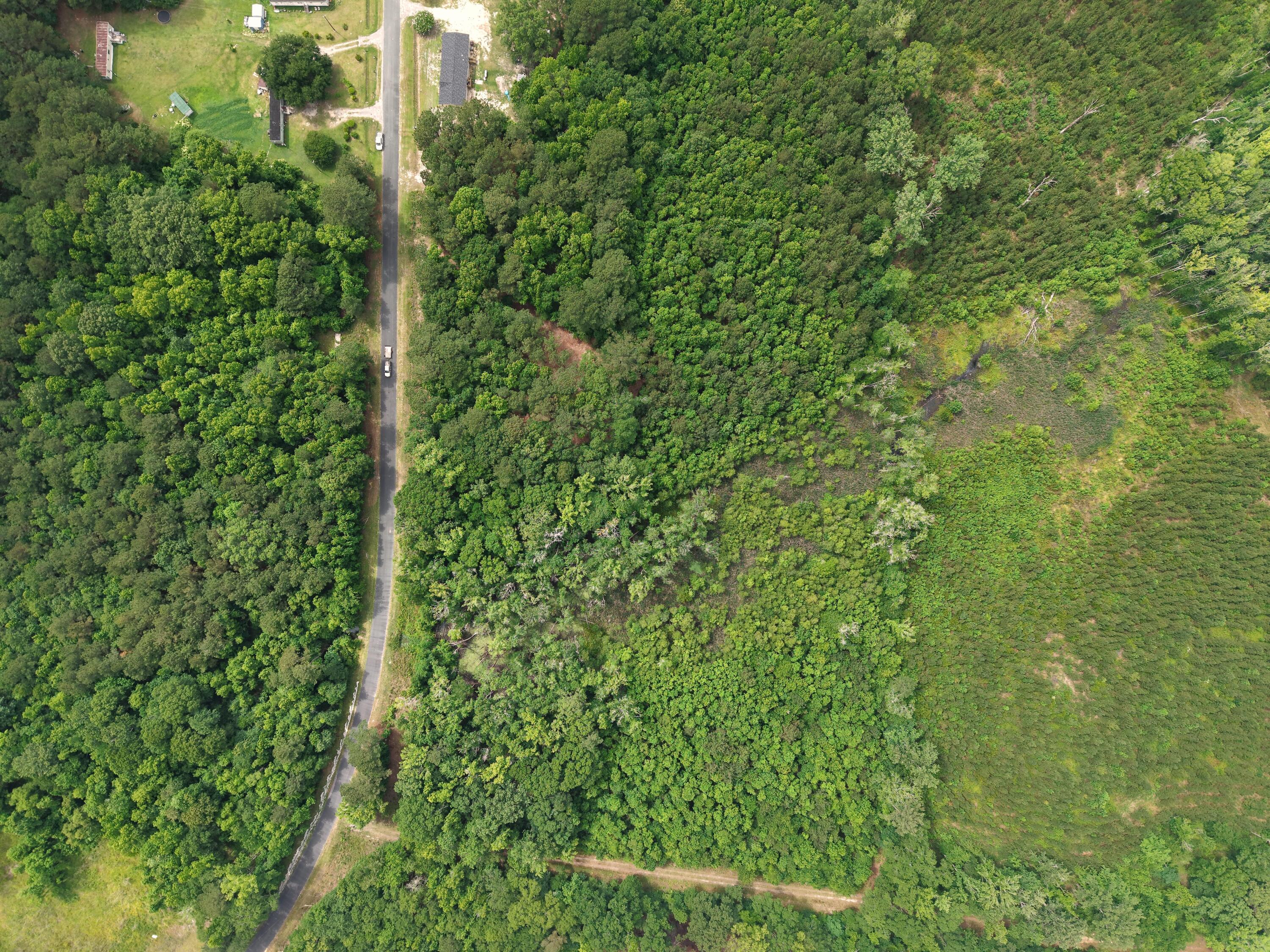 0 Hickory Hill Road Green Pond, SC 29446 - Photo 19 of 20 DJI_20260527154530_0211_D
