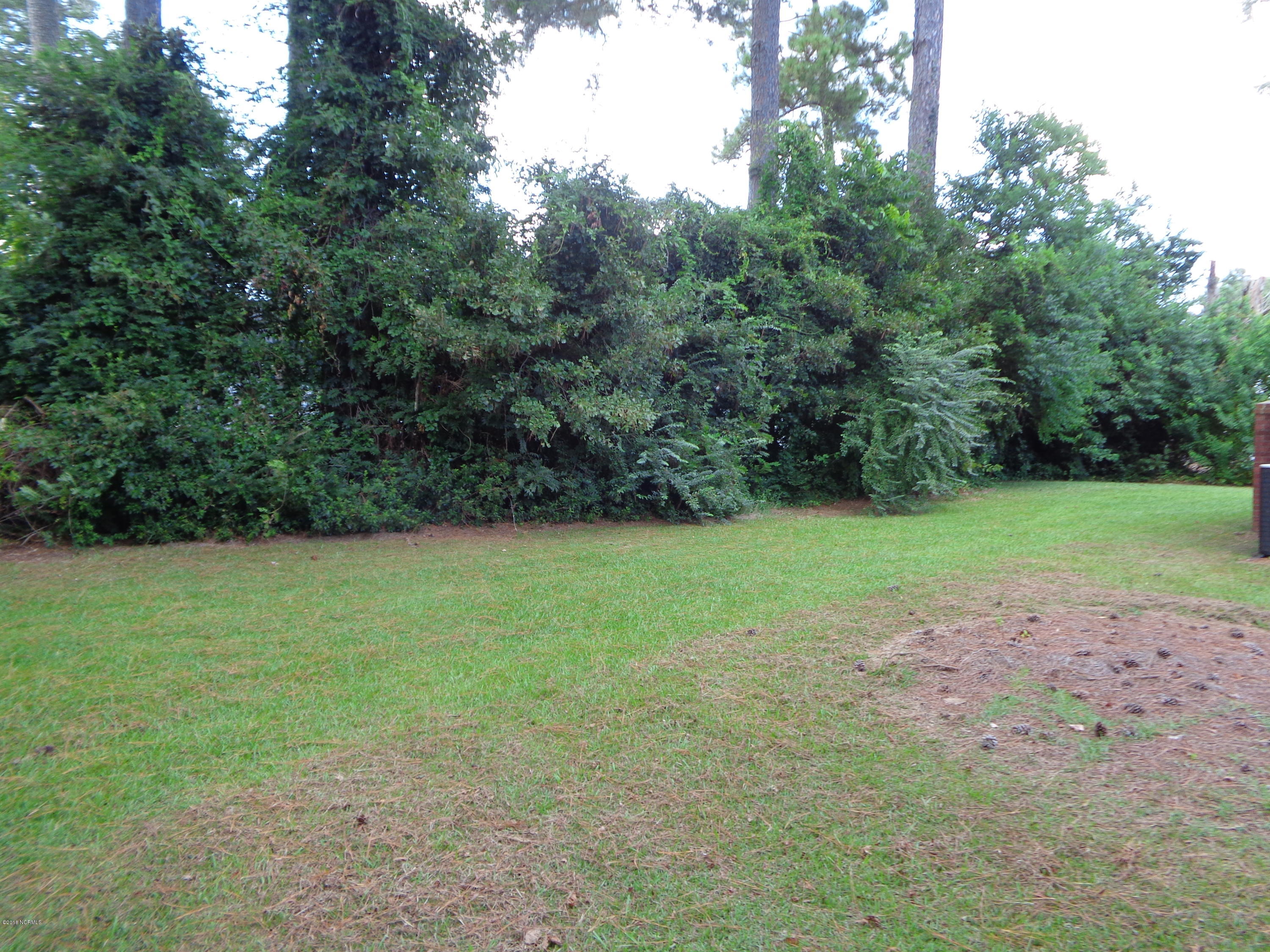 1209 Ruffin Terrace Kinston, NC 28504 - Photo 25 of 29 DSC05509