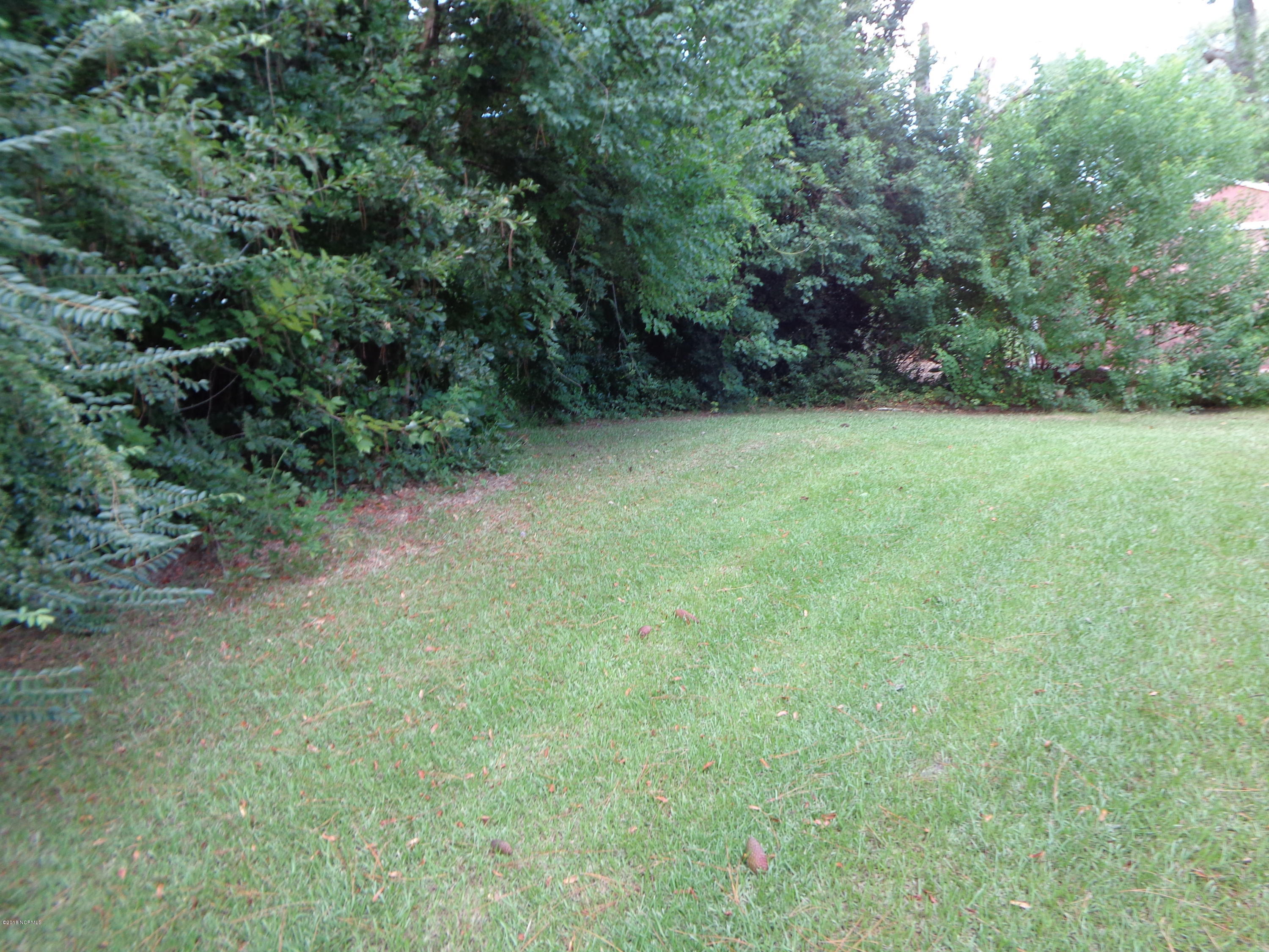 1209 Ruffin Terrace Kinston, NC 28504 - Photo 29 of 29 DSC05512