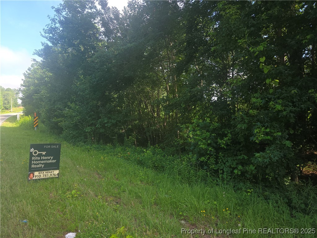 Rockfish Road Raeford, NC 28376 - Photo 3 of 3