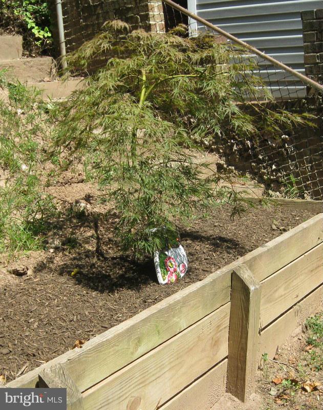4220 Granby Road Woodbridge, VA 22193 - Photo 30 of 30 a view of a yard with an outdoor space