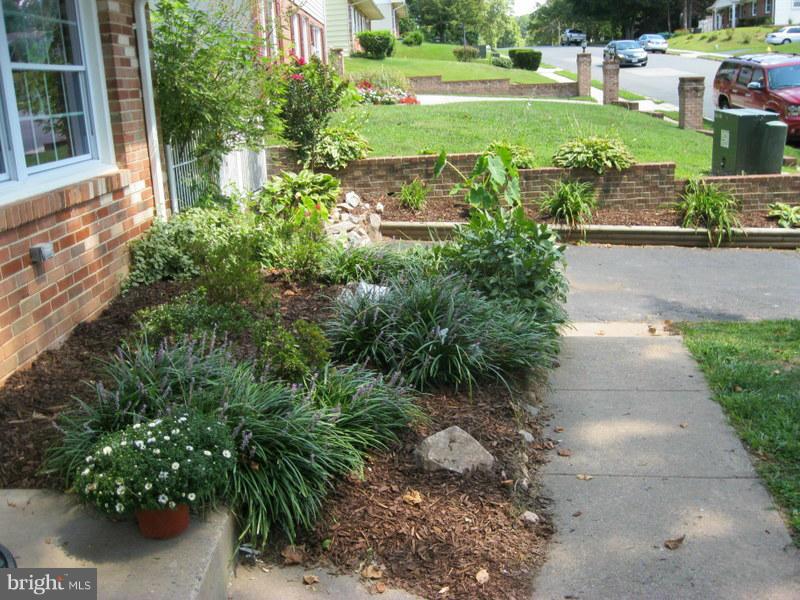 4220 Granby Road Woodbridge, VA 22193 - Photo 3 of 30 a view of a garden with plants and large trees
