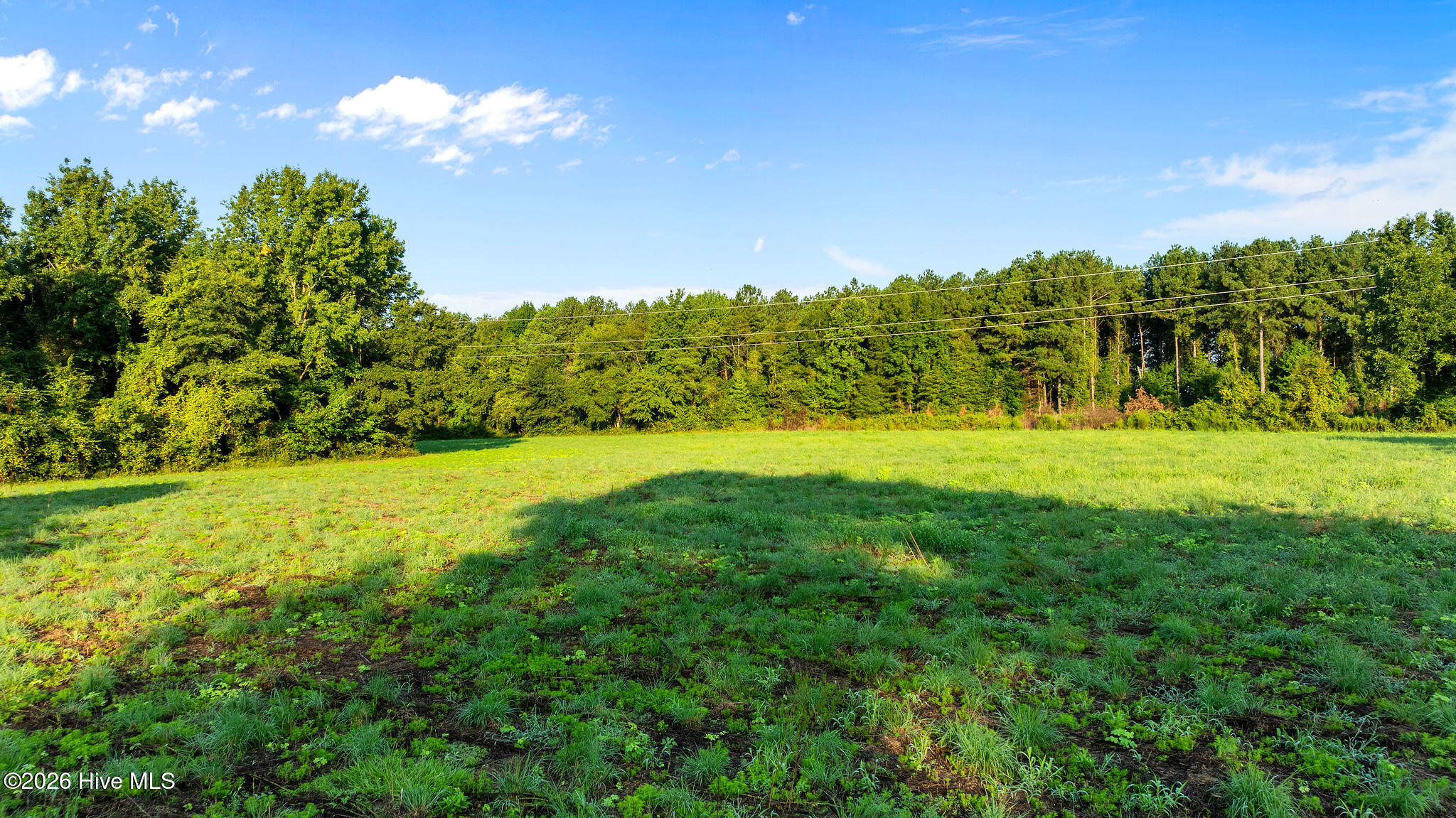 1 Old Smith Chapel Road Mount Olive, NC 28365 - Photo 7 of 9 Gallery Image 7