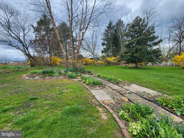 a view of a park with large trees