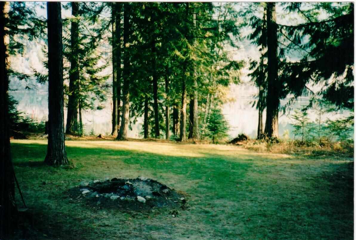 1259 Graham Road Cusick, WA 99119 - Photo 9 of 20