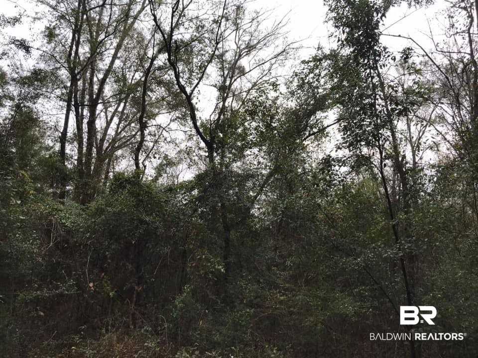 0 Hilliard Jenkins Road Loxley, AL 36551 - Photo 3 of 4