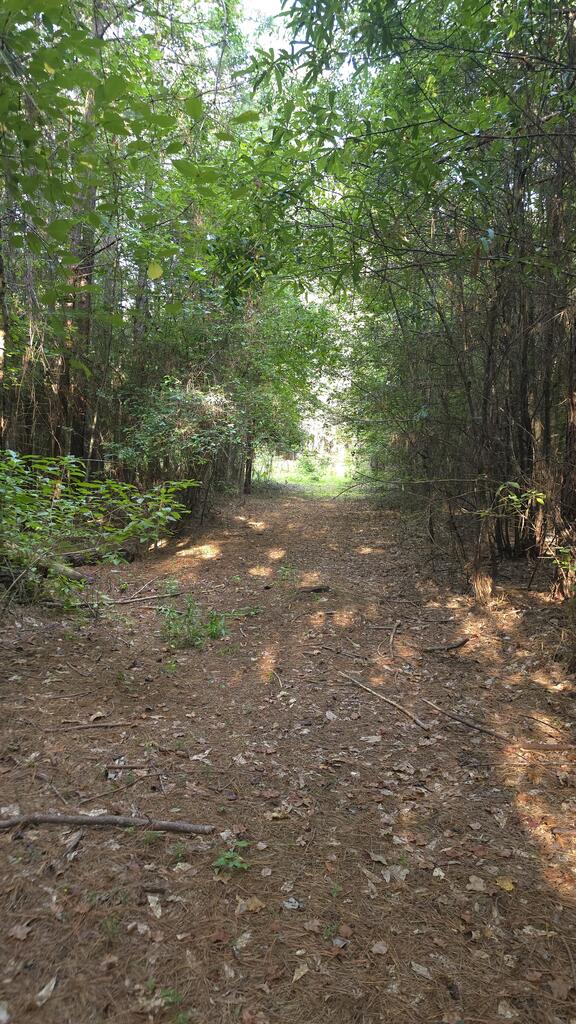 0 Salem Road, Unit 15 6A LaGrange, GA 30241 - Photo 1 of 6 Main View